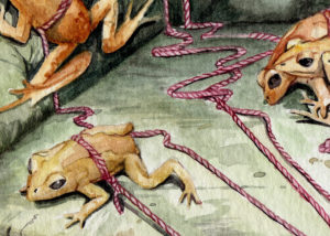 Detalle de la acuarela con ranas alguna atada a un gordon rosa